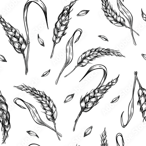 Wheat ear, stalks and grains black white graphic vector seamless pattern isolated. Repeated background of spikelet cereals, barley stems monochrome hand drawn by ink for natural design, bakery.