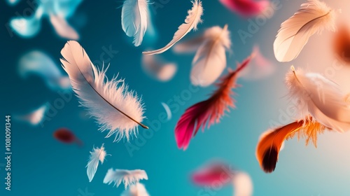 Colorful feathers floating against a soft gradient background.