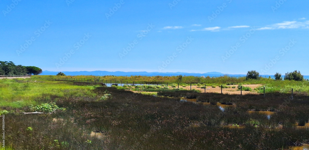 Fauna of the Natural Reserve of Foce del Tagliamento in Bibione against the backdrop of blue sky and mountains. Panorama.