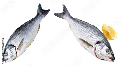 Fresh fish preparation kitchen food photography culinary space top view seafood delight