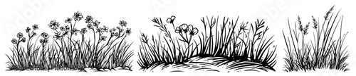 set of grass and wildflowers illustrations in hand-drawn sketch style black vector