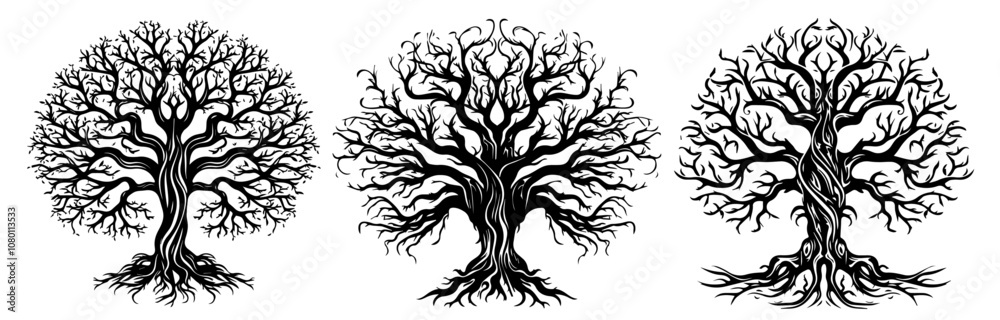detailed tree designs with bare branches - black vector collection detailed tree designs with bare branches - black vector collection