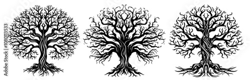 detailed tree designs with bare branches - black vector collection