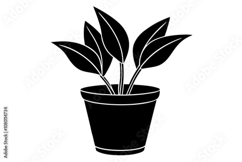 house plant silhouette vector illustration.