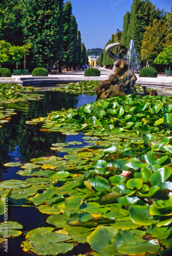 Palace Schonbrunn, Vienna