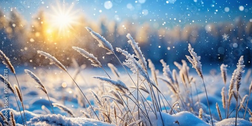Winter Wonderland Frosty Grass Blades Against a Blurred Sunset and Snowfall