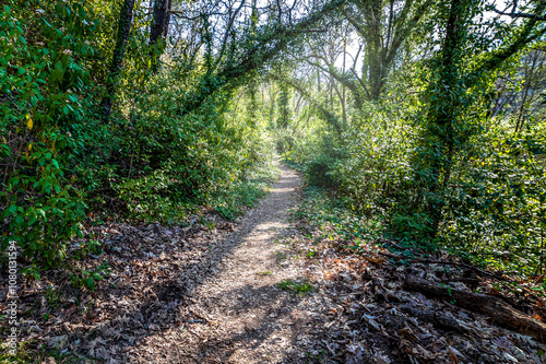 The fishermen track photo