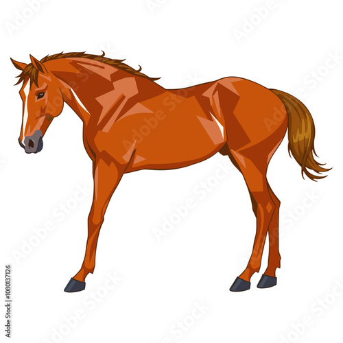 Vector of a majestic horse with a glossy chestnut coat