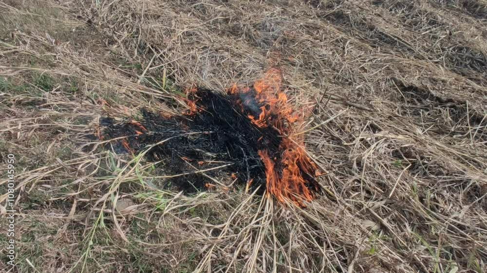 Strong fire of empty fielf smokey fire Strong fire of empty fielf smokey fire