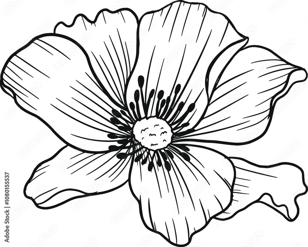 Obraz premium sketch of a flower. flower handrawn line vector. wedding decor, botanical, herb, tropical