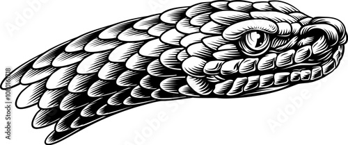 A snake head in a vintage w...