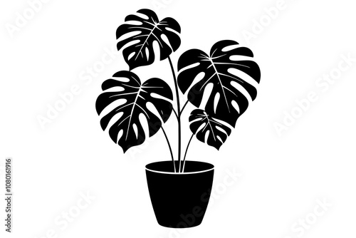 Vector silhouette of a monstera deliciosa plant in a pot. vector illustration.