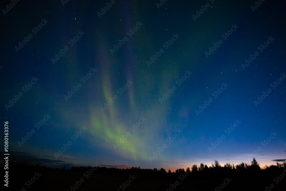 Fototapeta premium Aurora Borealis Over Forest