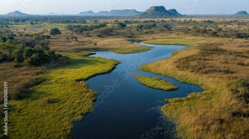 Aerial View of a Winding River Through a Lush Grassland Landscape