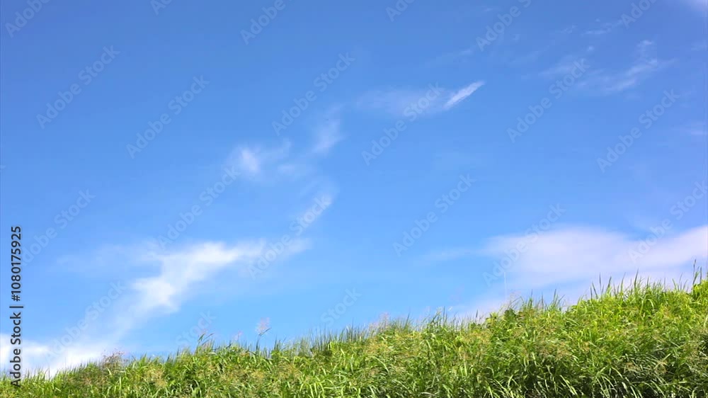 青空と草原 青空と草原