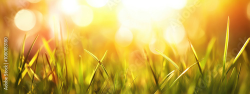 Bright sunlight illuminating green grass with bokeh effect, creating warm and inviting atmosphere