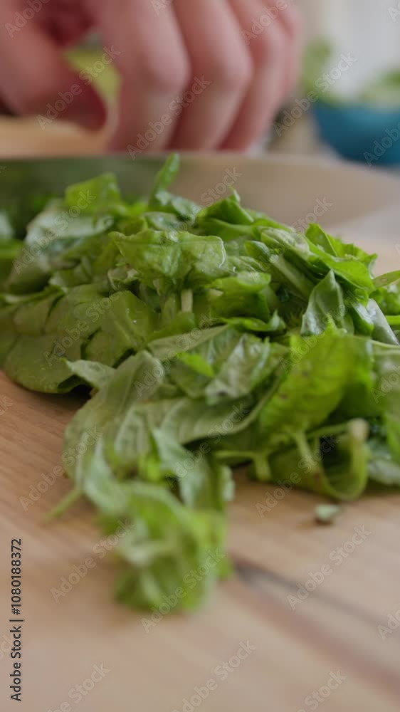 Chef Is Cutting Basil Leaves On A Wooden Cutting Board Chef Is Cutting Basil Leaves On A Wooden Cutting Board