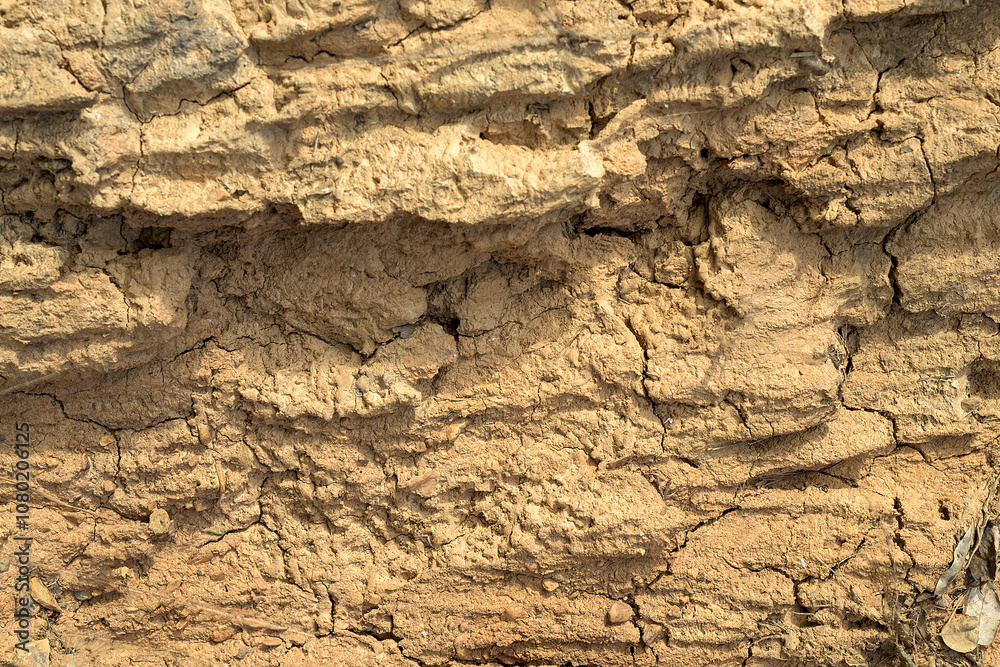 Dry and cracked mud texture background Dry and cracked mud texture background