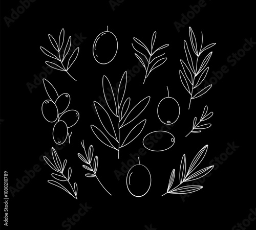 Minimalist botanical line art of olive branches and leaves in white on a black background. Collection leaves and olives decorative designs.