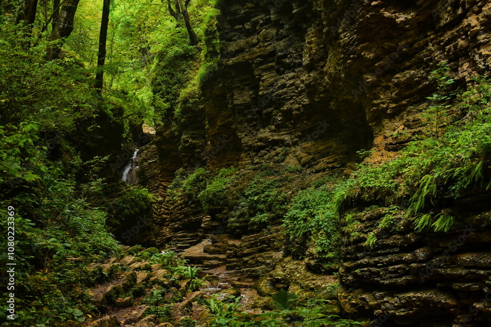 Ancient mountain gorge near Dakhovskaya village Ancient mountain gorge near Dakhovskaya village
