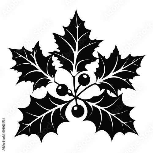 Holly leaves vector silhouette black illustration on a white background