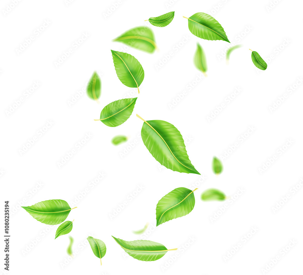 3d abstract green leaves swirl wave line, spiral wind effect isolated on transparent background png render. Flow fresh mint or tea foliage, herbal leaf falling and flying in air. 3D illustration 3d abstract green leaves swirl wave line, spiral wind effect isolated on transparent background png render. Flow fresh mint or tea foliage, herbal leaf falling and flying in air. 3D illustration