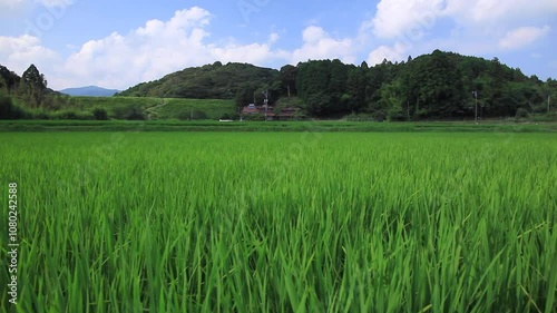 田舎の田園風景