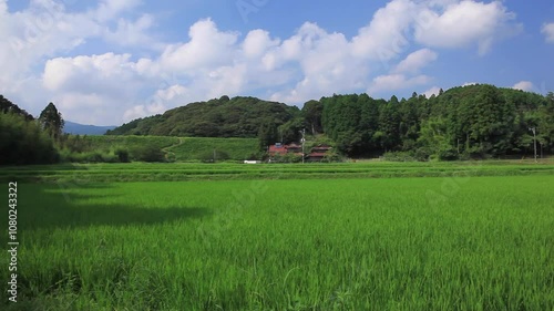 田舎の田園風景