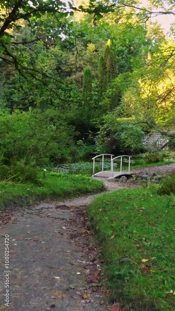 A small wooden bridge crosses a lush green garden path under warm sunlight A small wooden bridge crosses a lush green garden path under warm sunlight