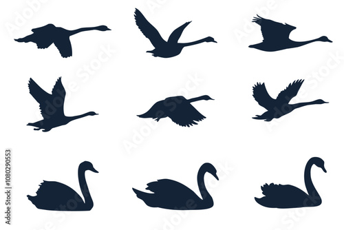 Silhouettes of Swans. Elegant contours of swans symbolize grace, love and harmony in nature