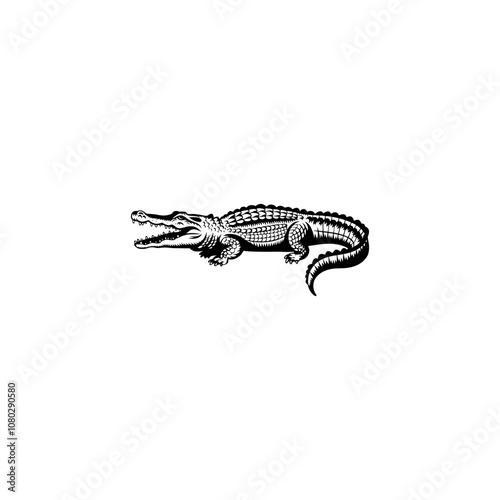 Crocodile silhouette vector alligator silhouettes vector black and white illustration of Crocodile silhouettes Alligator Drawn Illustration A black crocodile alligator on a white background