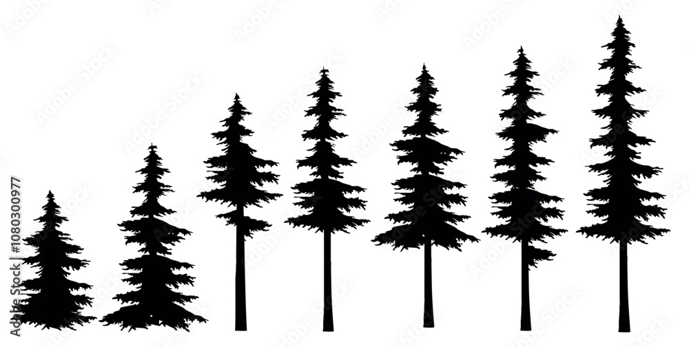 Silhouettes of Christmas trees on a white background. A row of fir trees of different heights, similar to the horizon of a snowy forest or a winter fairy tale