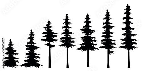 Silhouettes of Christmas trees on a white background. A row of fir trees of different heights, similar to the horizon of a snowy forest or a winter fairy tale