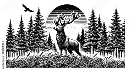 deer with antlers in a forest sun moon engraving black and white outline