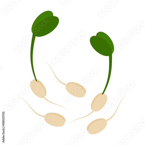 Sprouted grains with root, green sprouts and leaves. Healthy Eating Day or thematic cards elements