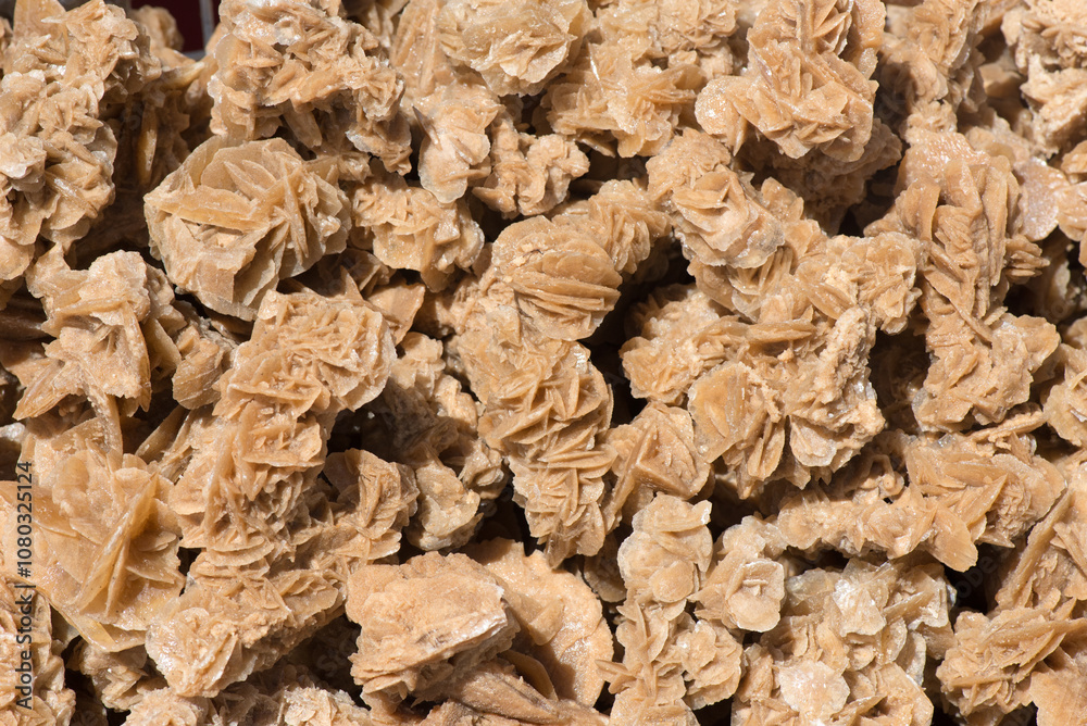 Close up view of natural desert roses of the Sahara desert Close up view of natural desert roses of the Sahara desert