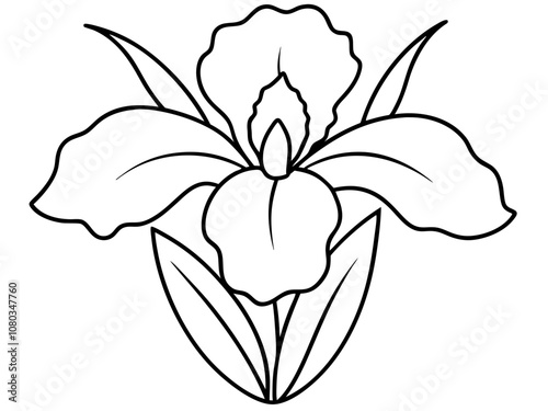 Minimalist line art illustration of iris flower outline, black and white floral vector, white background