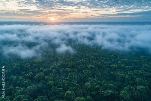 A breathtaking sunrise over lush rainforest with morning mist