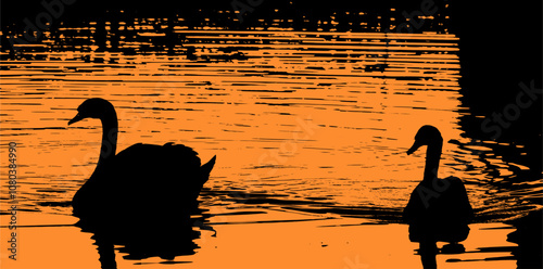 Deux cygnes sur l'eau avec effet bichromie noir et orange clair