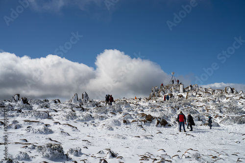 family's playing in snow on the peak of a rocky mountain in a national park looking over a city below, mt wellington hobart tasmania australia in summer. ice on the roads. roads closed photo