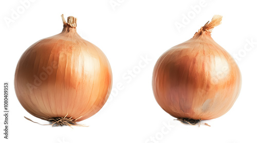 Wallpaper Mural Onion on a transparent background. isolated background. Torontodigital.ca