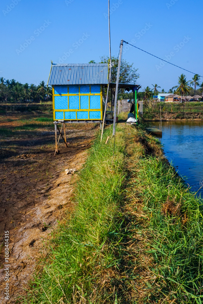 View of rice field houses on the fish pond embankment on a sunny day View of rice field houses on the fish pond embankment on a sunny day