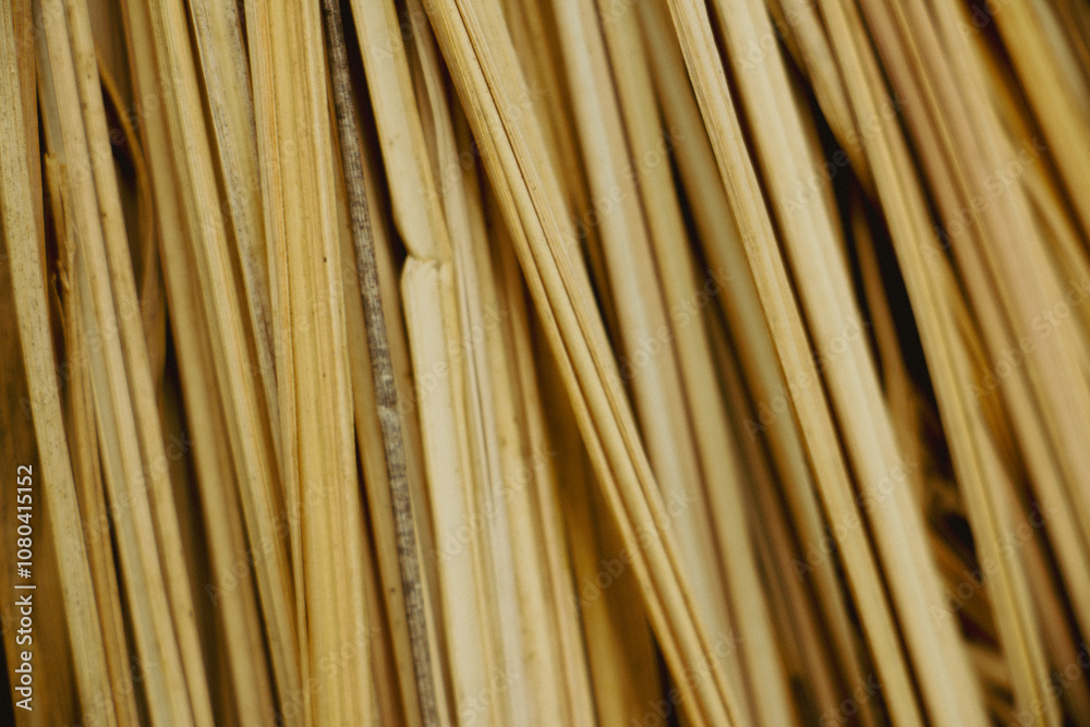 close up of bamboo mat, Dried leaves of cogon grass, also known as Lalang, Natural background texture, traditional Asian house texture background close up of bamboo mat, Dried leaves of cogon grass, also known as Lalang, Natural background texture, traditional Asian house texture background