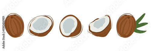 Set of whole coconut and slices. Fresh, juicy and tasty tropical fruits. Coconut milk or oil. Organic fruits vector illustration. Eco-label for natural taste. Exotic juices, smoothies, cosmetics.