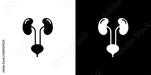 Urinary system icon linear logo isolated