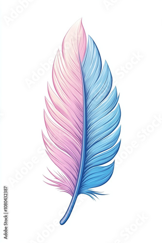 Dual-Colored Feather Graphic Design