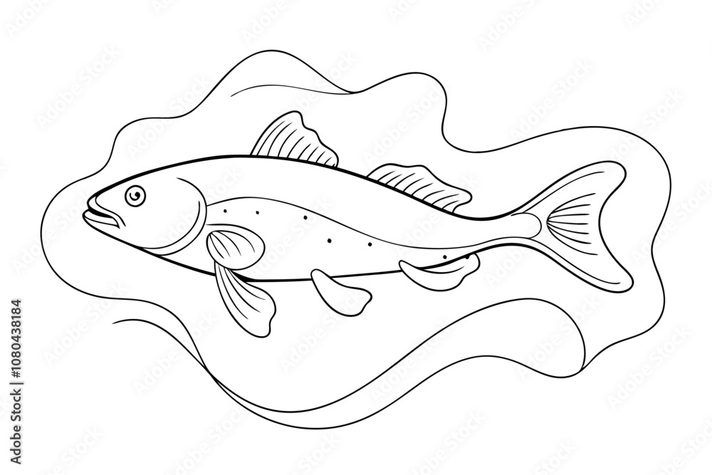 High-Quality Lingcod Fish Line Art Vector High-Quality Lingcod Fish Line Art Vector