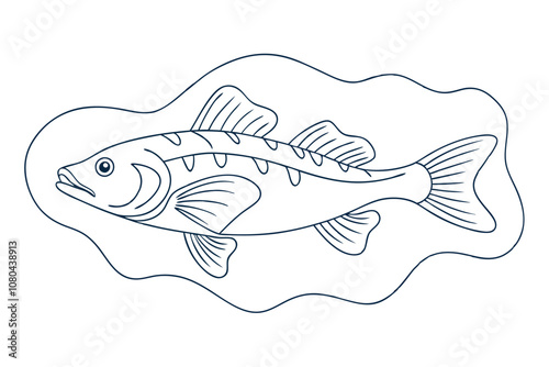 High-Quality Lingcod Fish Line Art Vector