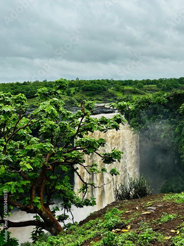 Tincha Waterfall, Indore MP India photo