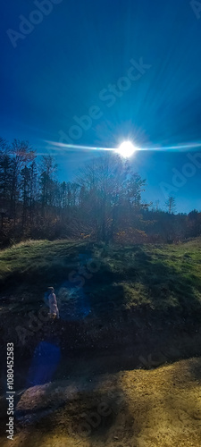 Landscapes - Forest - Europe, Romania, Suceava region